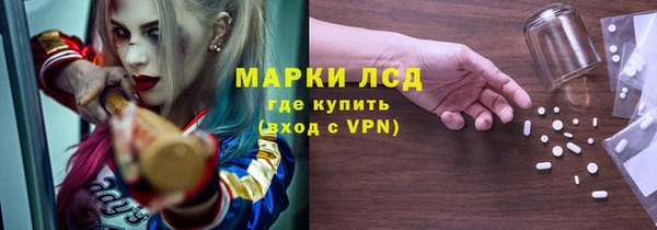 ПСИЛОЦИБИНОВЫЕ ГРИБЫ Вяземский