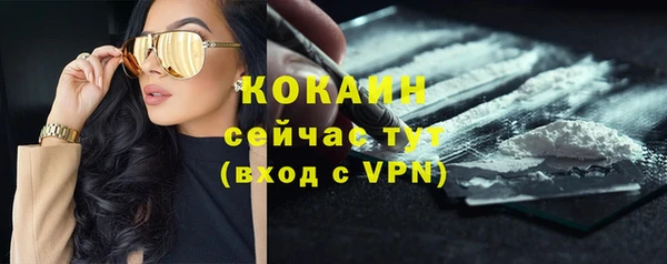 ПСИЛОЦИБИНОВЫЕ ГРИБЫ Вяземский