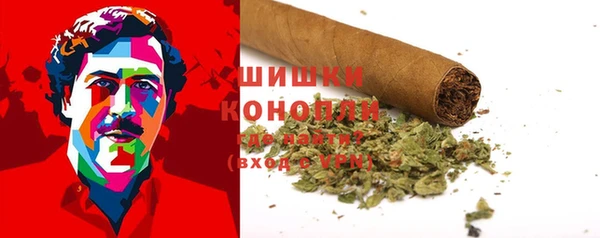 ПСИЛОЦИБИНОВЫЕ ГРИБЫ Вяземский