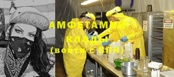 ПСИЛОЦИБИНОВЫЕ ГРИБЫ Вяземский