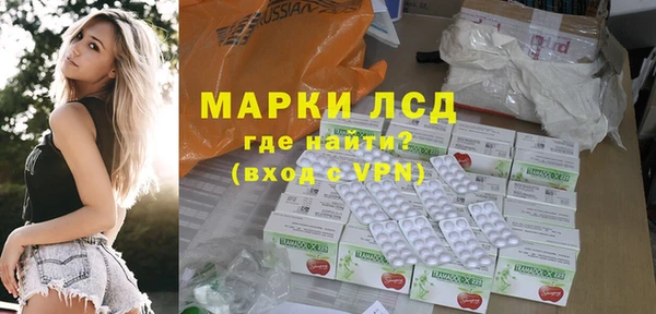 ПСИЛОЦИБИНОВЫЕ ГРИБЫ Вяземский