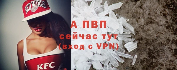 мяу мяу мука Вязьма