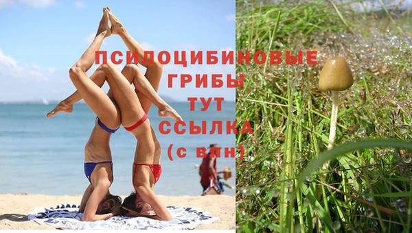 мяу мяу мука Вязьма