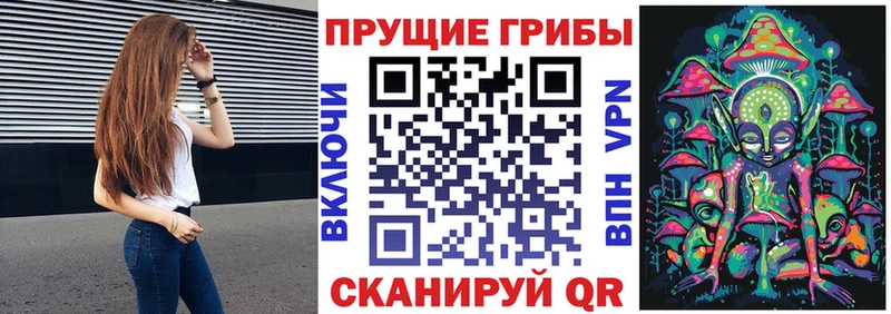Галлюциногенные грибы Psilocybe  продажа наркотиков  Рошаль 